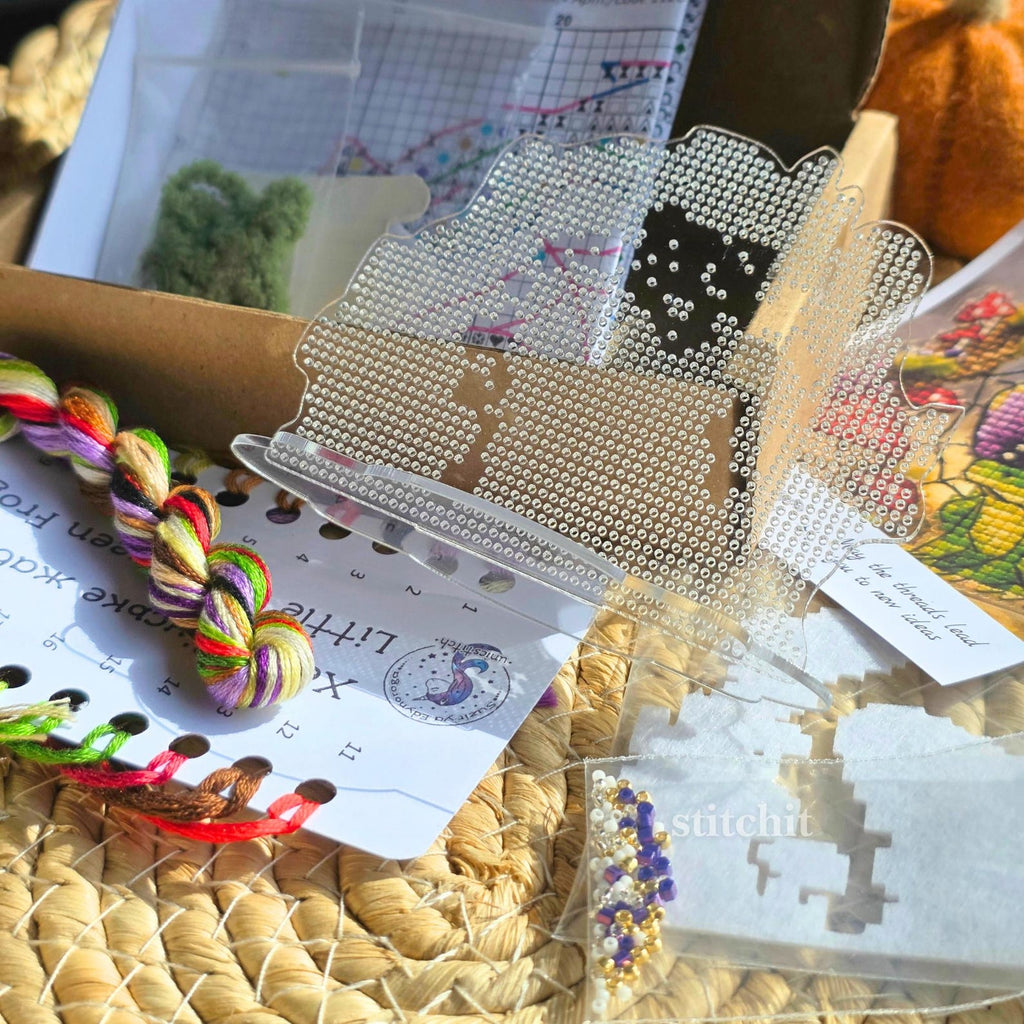 Modern Embroidery Kit On Plastic | Halloween Frog | Unboxed
