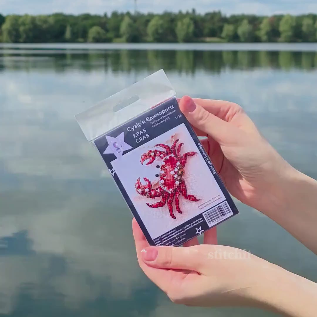 Crab Beaded Cross Stitch Kit | Ocean Animal Embroidery Ornament, Flexible Plastic Base